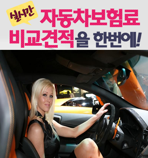  다이렉트 자동차보험료비교견적사이트 똑소리난 가입안내
