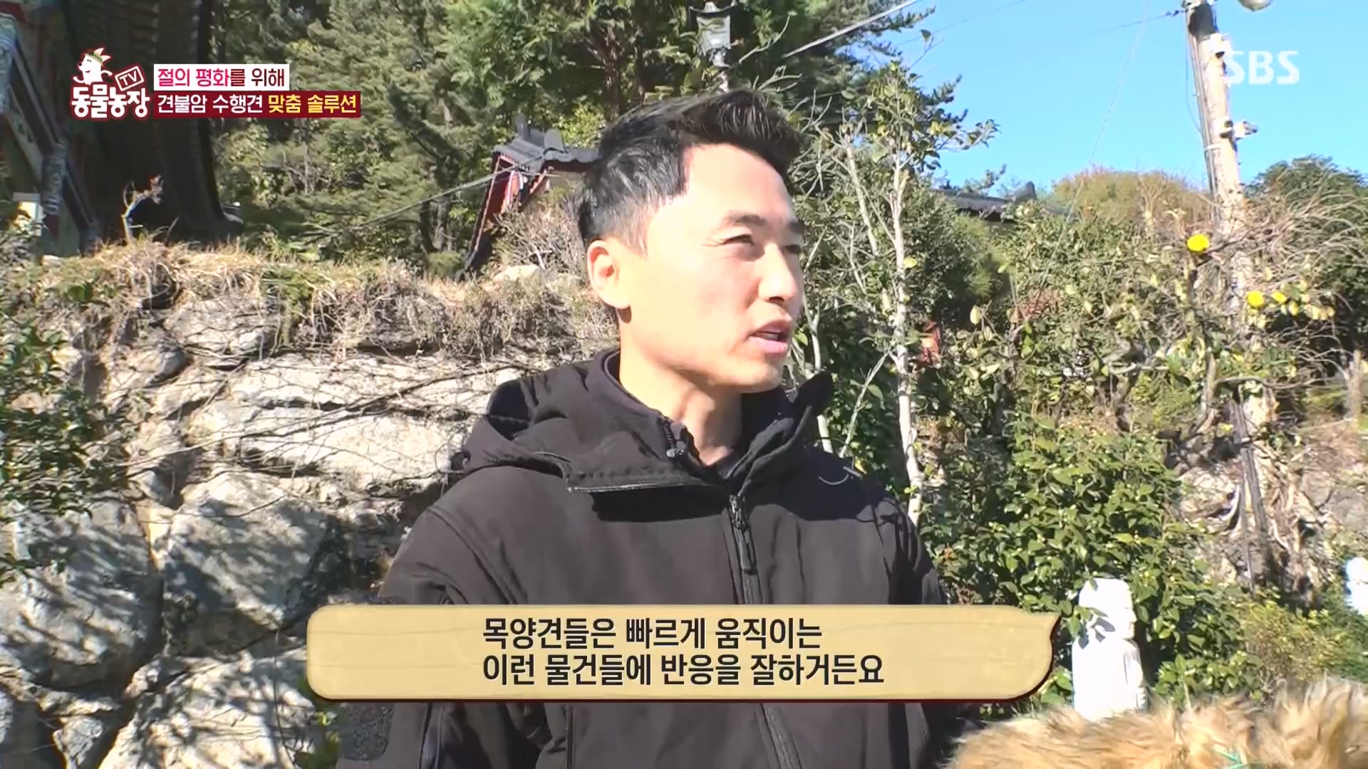 TV 동물농장.E1149.231210p.H264-F1RST.mp4_20231210_171057.328.jpg