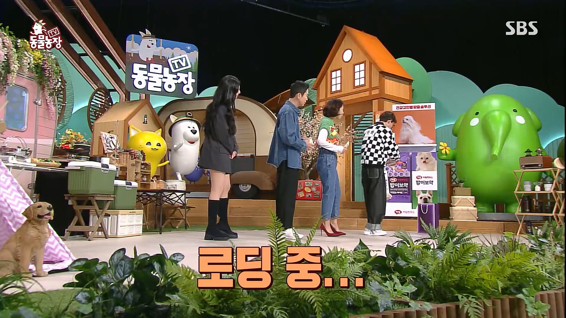 TV 동물농장.E1111.230312p.H264-F1RST.mp4_20230312_175949.008.jpg