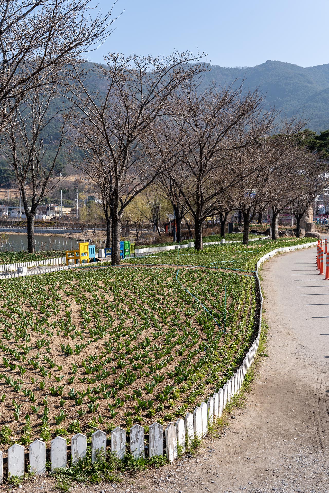 송해공원 주차장 옆 화단