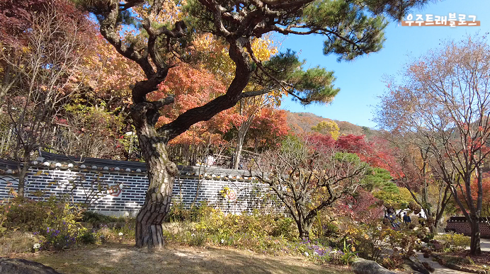 사진7