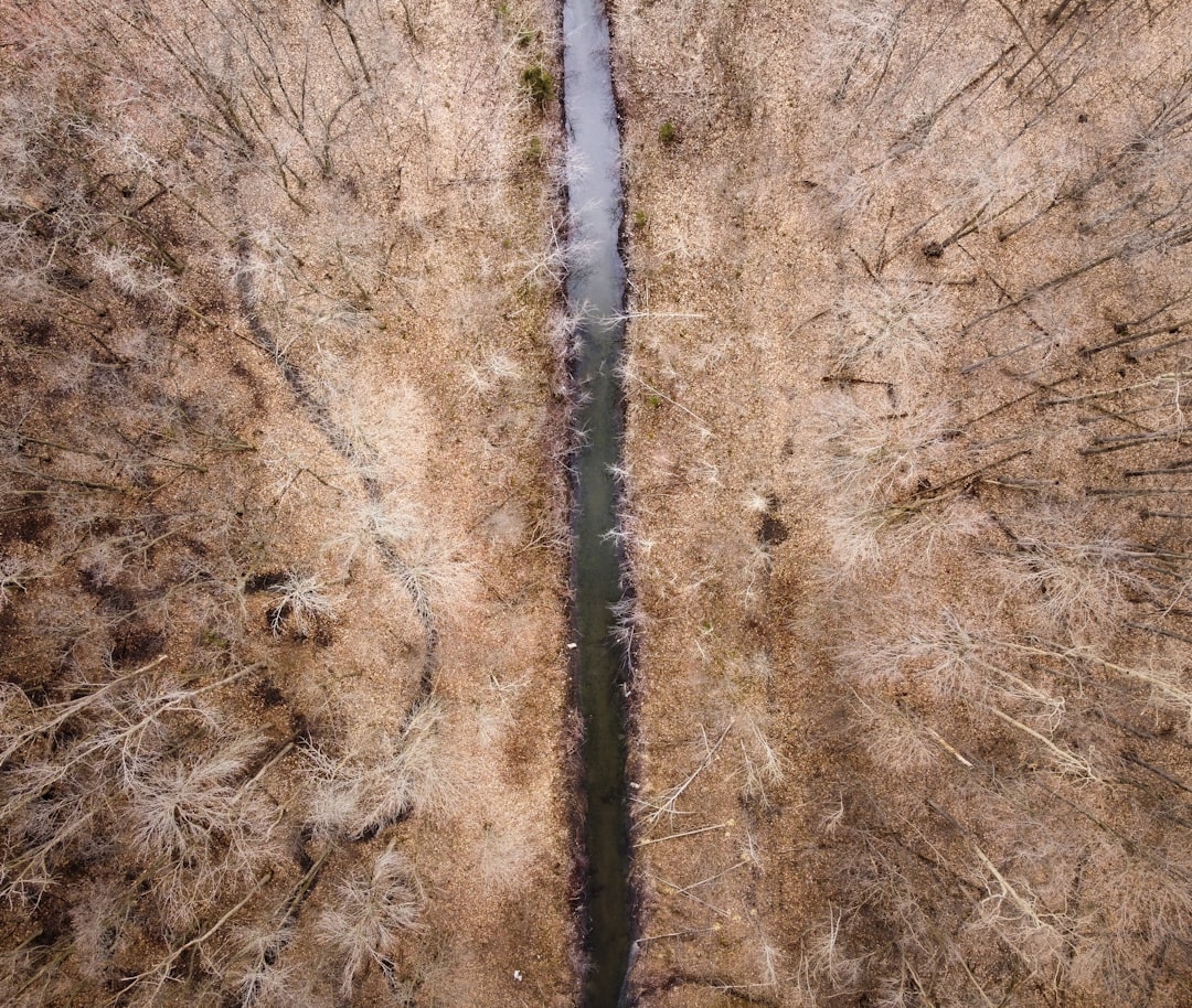 Drainage