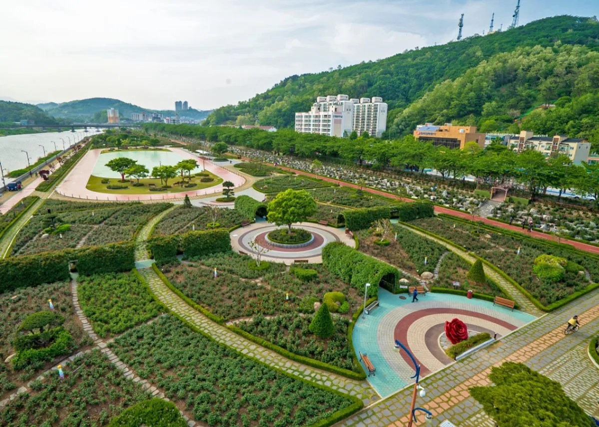 2025 삼척 장미공원 장미축제 일정 주차 볼거리_1