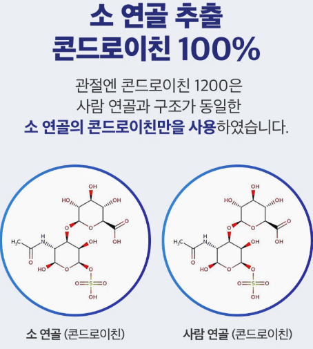 관절 통증 개선
