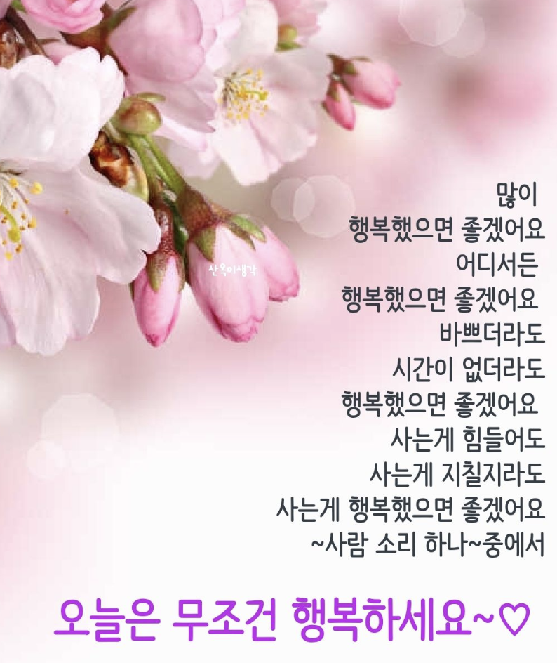수요일 아침인사말