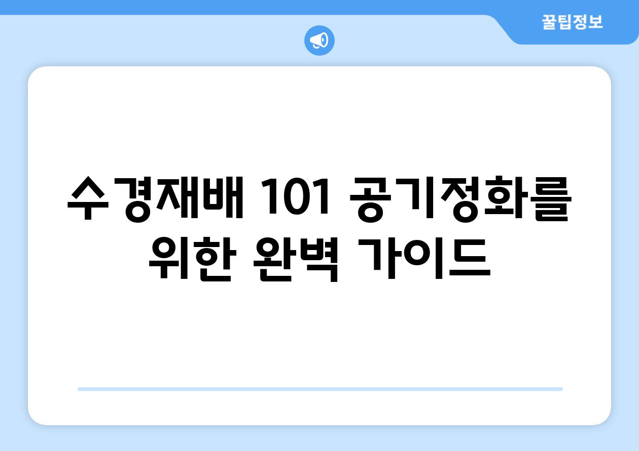 수경재배 101| 공기정화를 위한 완벽 가이드