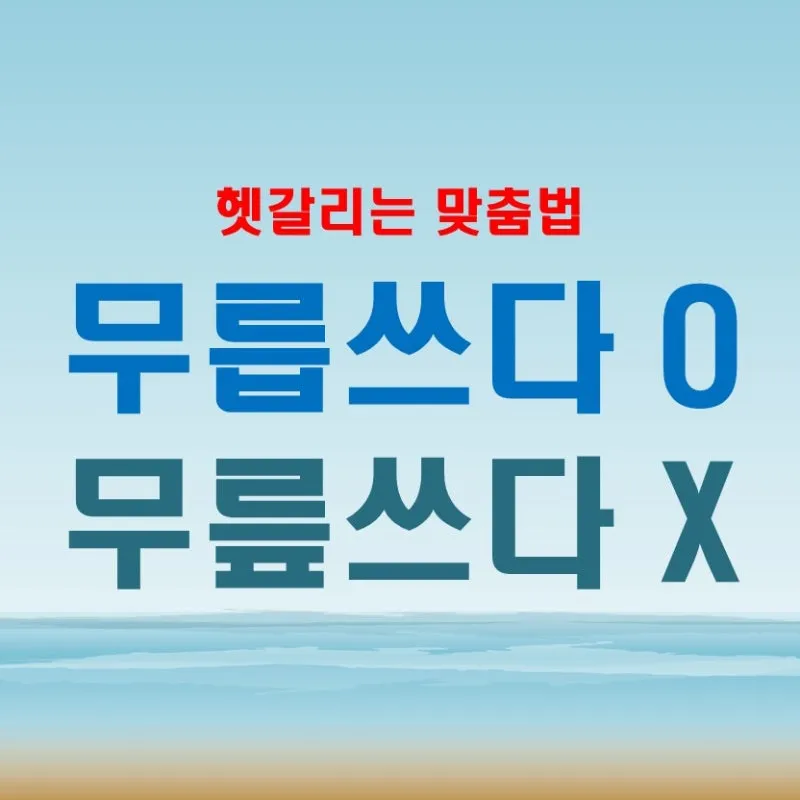 무릎쓰고 무릅쓰고 맞춤법 맞는 표현 예시_6