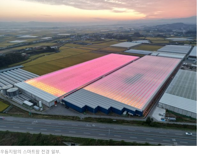  휴스템코리아-우듬지팜 주목: 사우디 네옴시티 팜(farm) 테마파크 조성