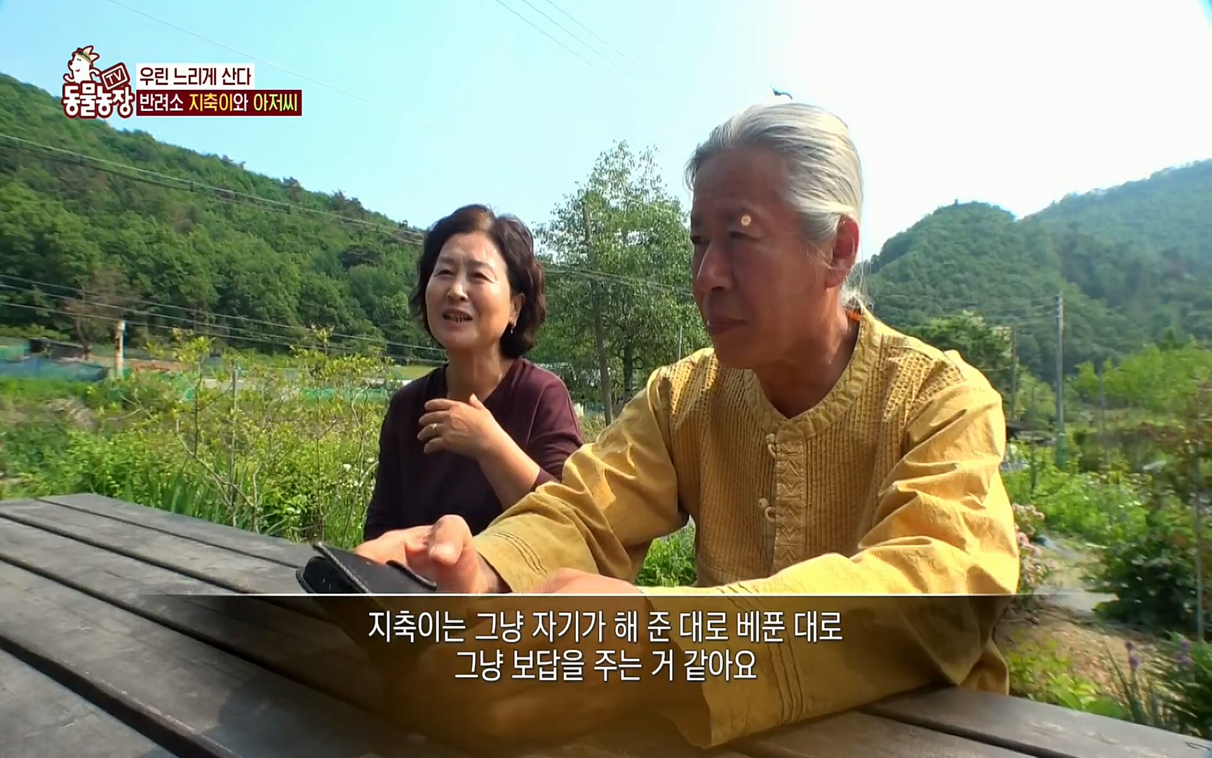 TV 동물농장.E1074.220619p.H264-F1RST.mp4_20220619_181458.487.jpg