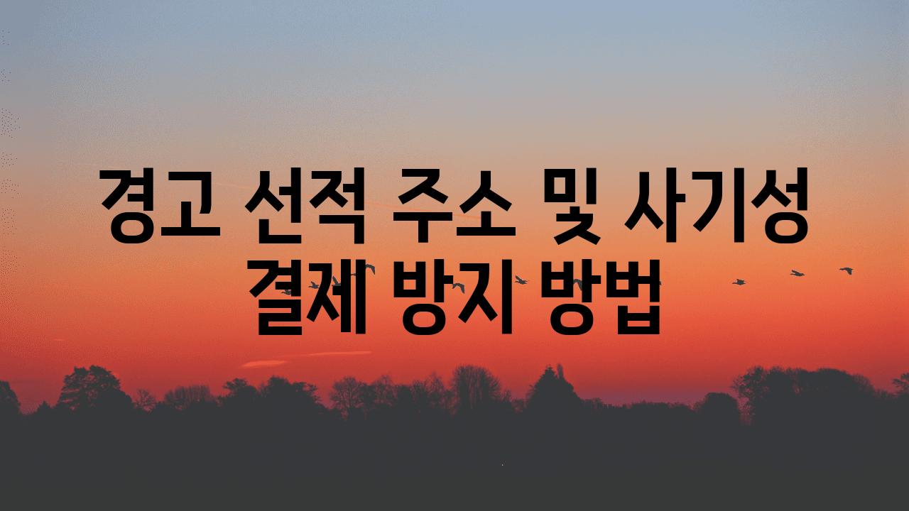 경고 선적 주소 및 사기성 결제 방지 방법