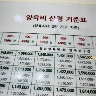 2025 양육비 선지급제 정보_20