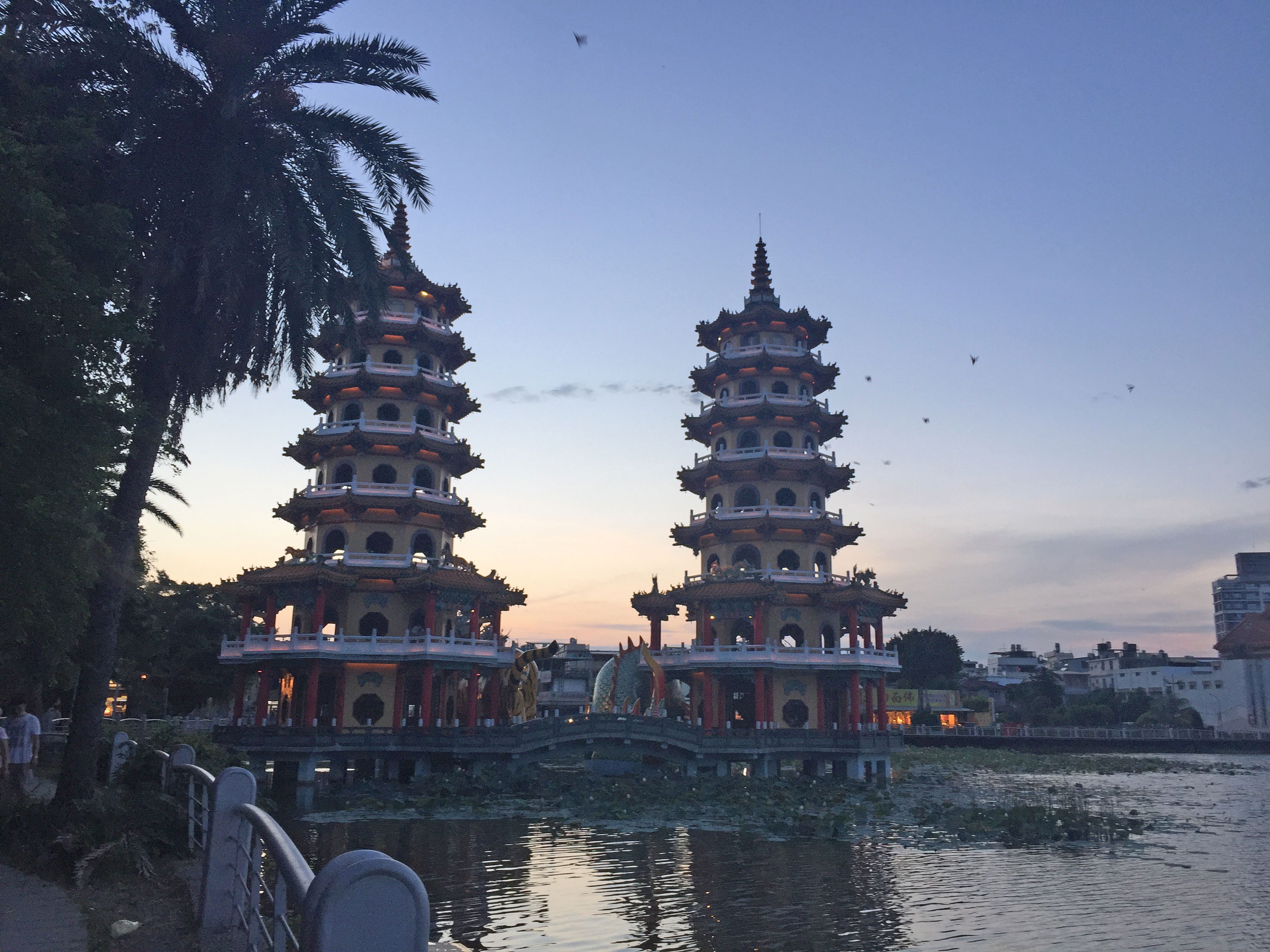 비포 애프터 비교