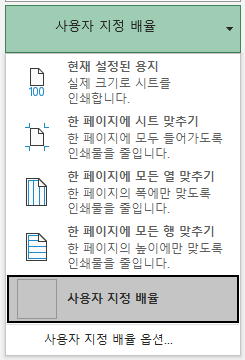 사용자 지정 배율 옵션