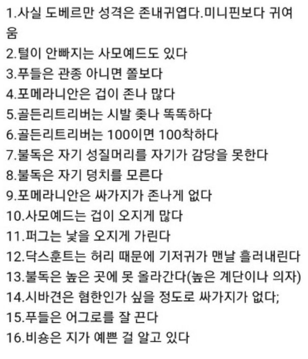 애견카페 알바생의 30가지 깨달음ㅋㅋㅋㅋ