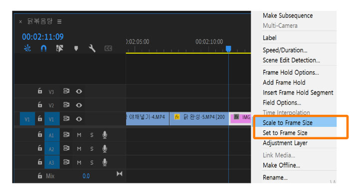 Scale to frame size 선택