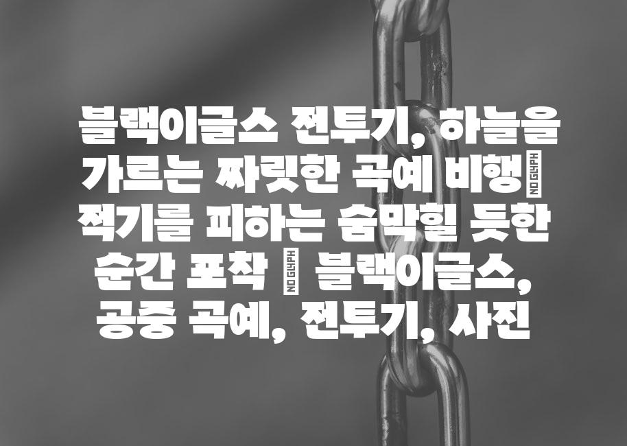 샘플 (61)