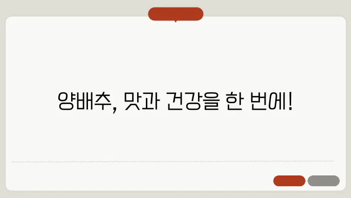 양배추 스튜의 따뜻한 매력