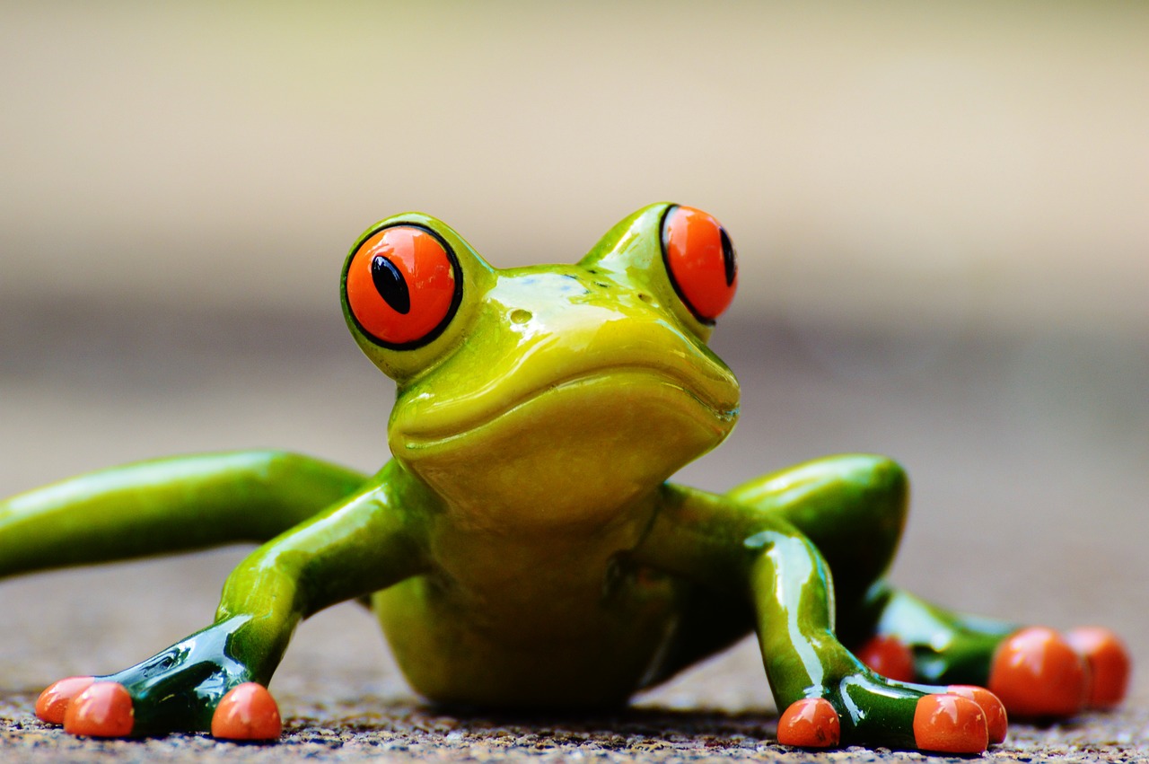 개구리가 납작 엎드려 있는 개구리 모형 사진&#44;