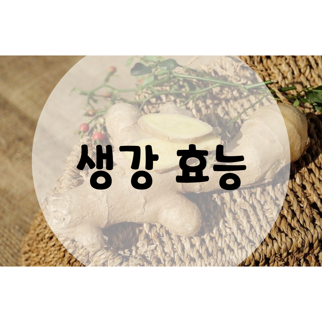  생강 효능 20가지 중년에게 특히 좋아요