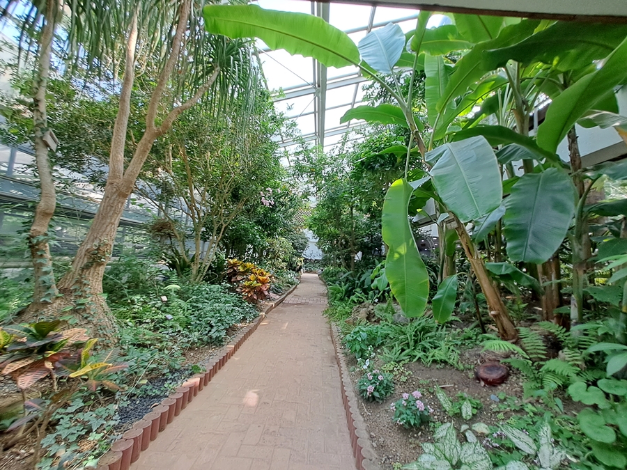 아열대식물원