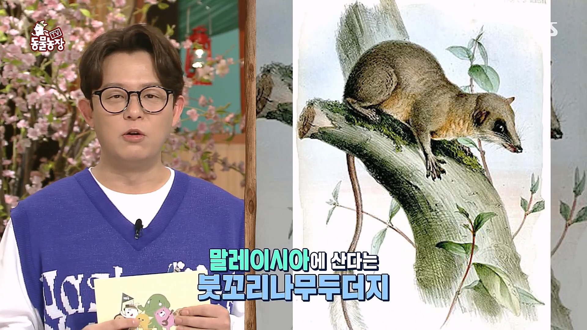 TV 동물농장.E1113.230326p.H264-F1RST.mp4_20230326_170025.797.jpg