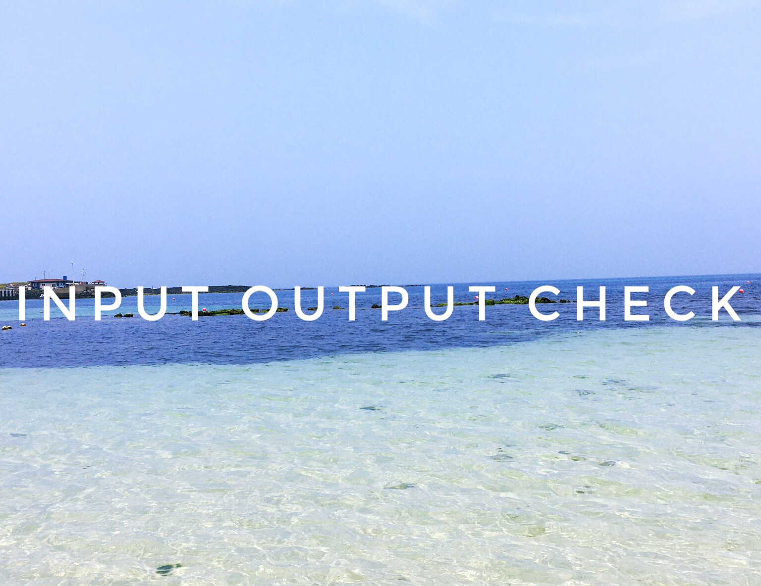  I/O check 의 중요성