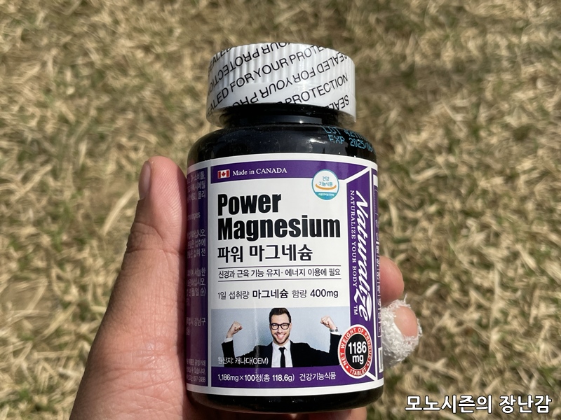  내추럴 라이즈 파워 마그네슘 1186mg 영양제 후기