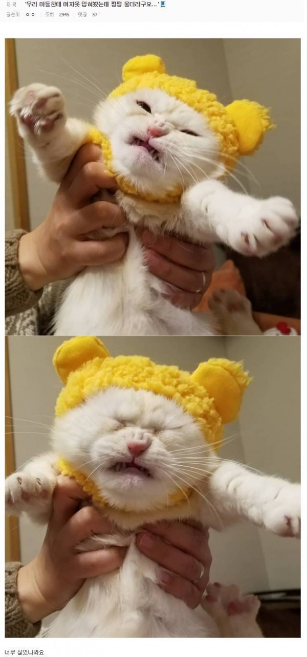   뚜뚜월드