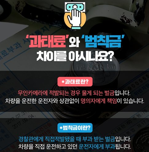 범칙금과 과태료의 심도 있는 비교 분석