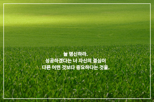 넓게 펼쳐진 초록 잔디