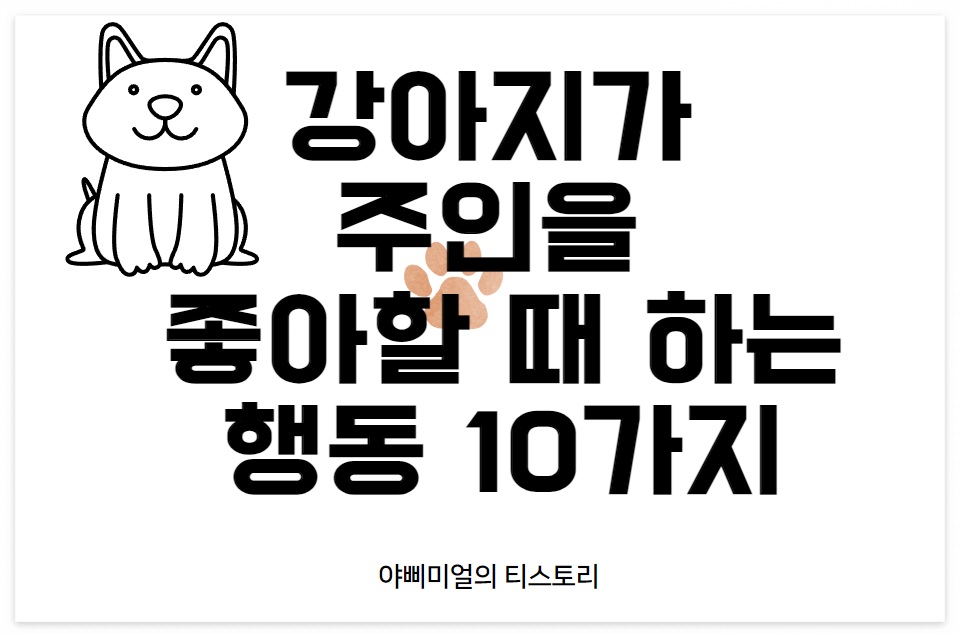  강아지가 주인을 좋아할 때 하는 행동 10가지