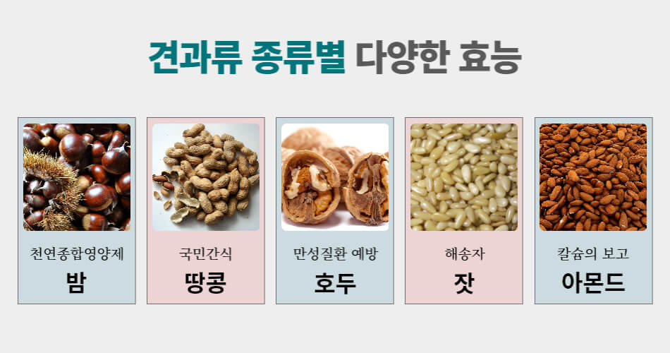 견과류종류-밤-땅콩-호두-잣-아몬드
