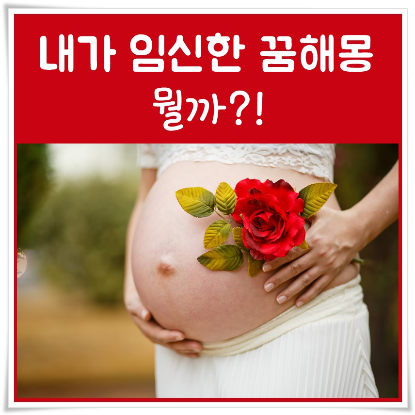  내가 임신한 꿈해몽은 뭘까?!
