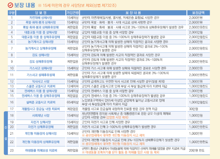 보장내용