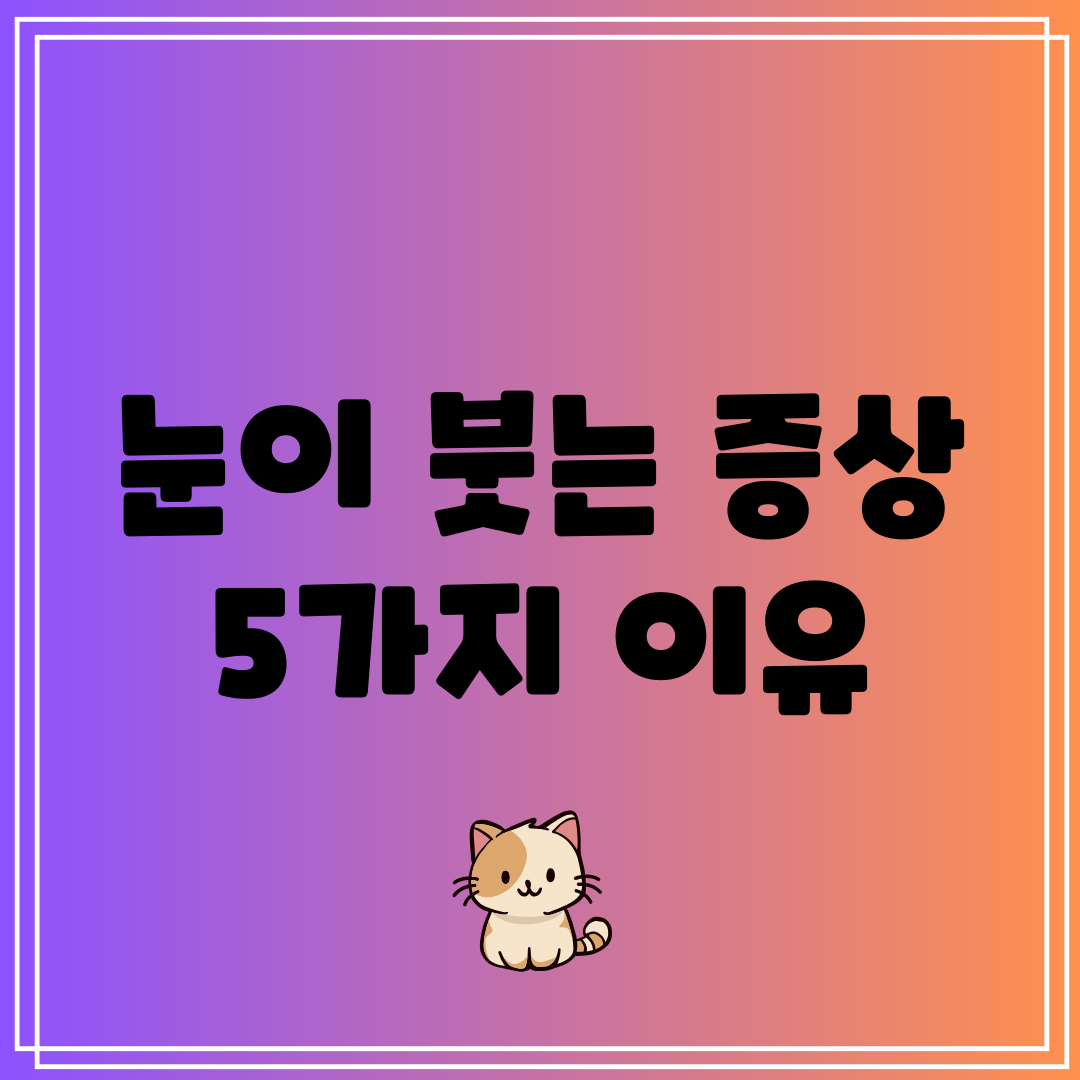 눈이 붓는 증상 5가지 이유