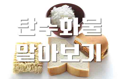  탄수화물, 알아두면 좋은 우리 몸의 에너지원