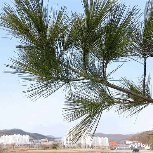  천리 신미주 아파트 용덕저수지 둘레길, 개천가 보행로 산책로 보수공사
