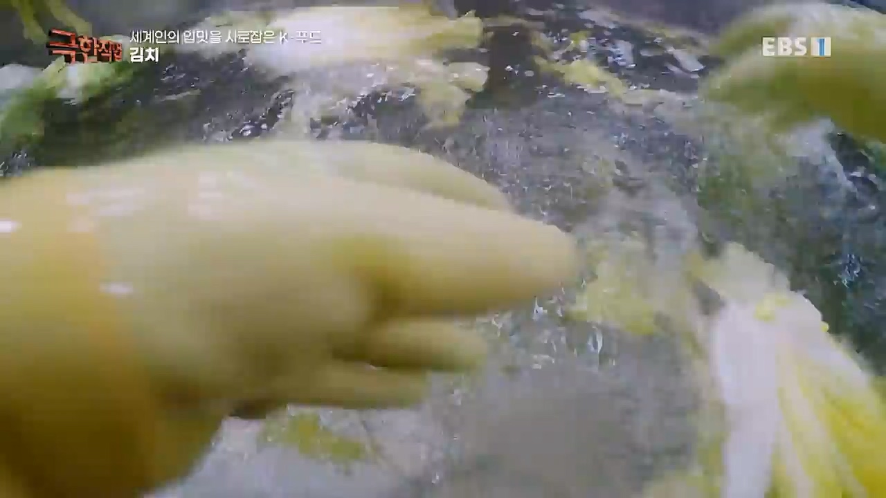 TV - 교육의 중심 EBS세계인의 입맛을 사로잡은 K-푸드.mp4_20230211_183504.366.jpg