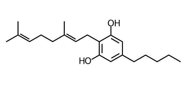  칸나비게롤 (CBG) 효능 부작용 알고 가세요