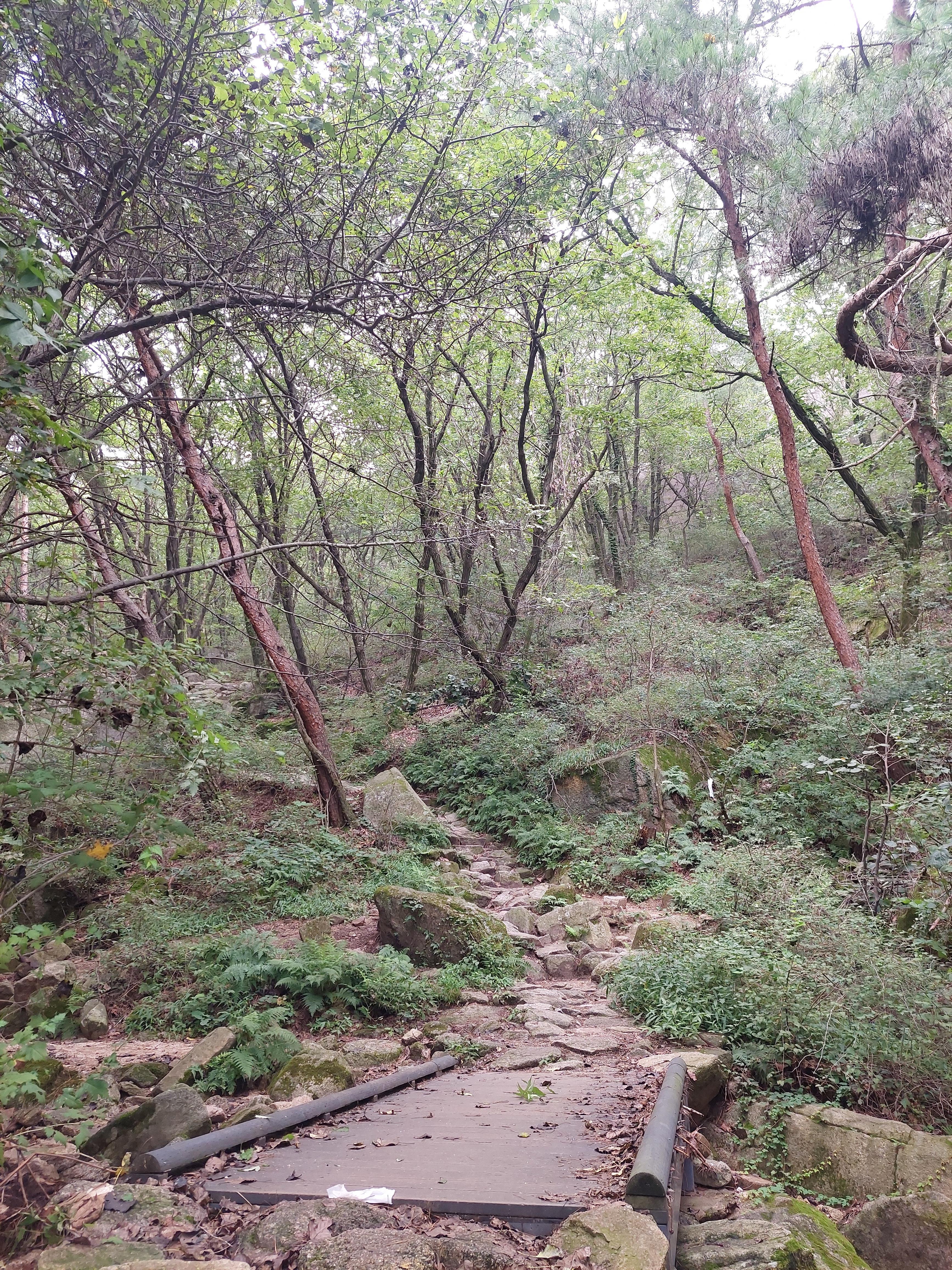 불암산