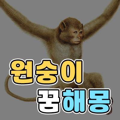 원숭이 꿈 해몽/원숭이 나오는 꿈/동물 꿈30