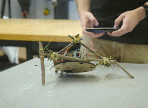 나뭇가지로 만든 스틱봇 VIDEO StickBot: A Robot Made of Sticks
