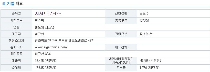 시지트로닉스 기업 개요