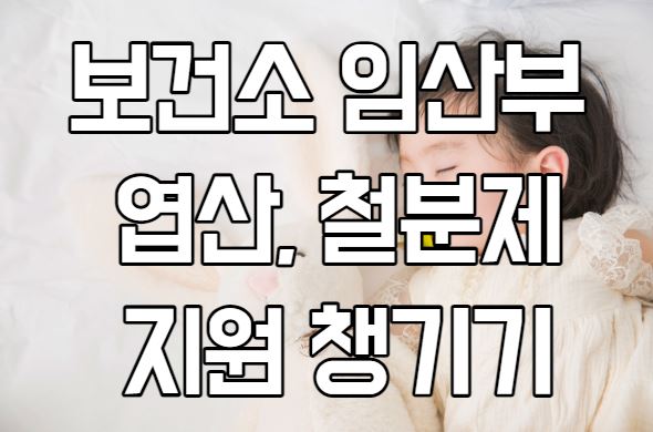 보건소 임산부 엽산, 철분제 지원사업 챙기기