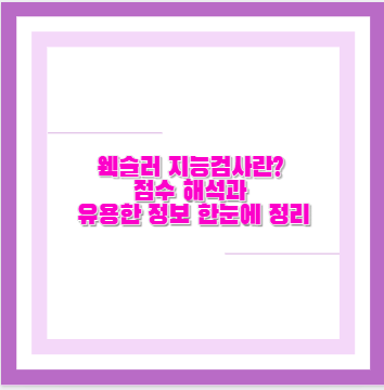 웩슬러 지능검사란? 점수 해석과 유용한 정보 한눈에 정리