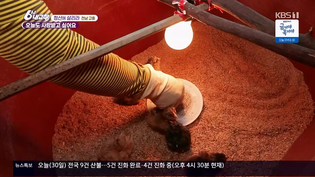 6시 내고향.E7756.230331p.H264-F1RST.mp4_20230331_212225.446.jpg