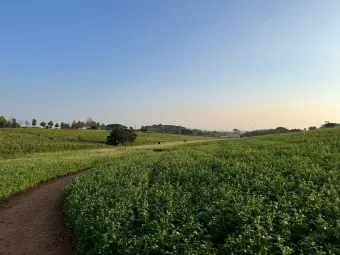 고창 가볼만한곳 베스트10 현지인 추천 필수코스_26