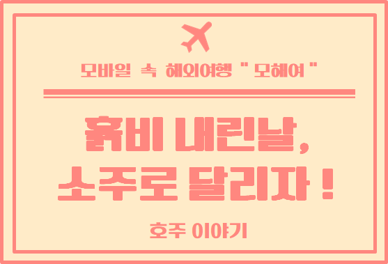  호주 일상 : 하늘에서 흙비가 내려와, 멜버른 부산, 김밥 만들기