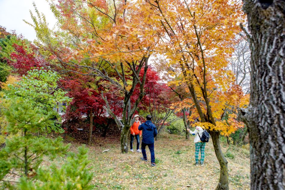 팔령 팔우회 2016 가을나들이 2 (2016-11-09) 75