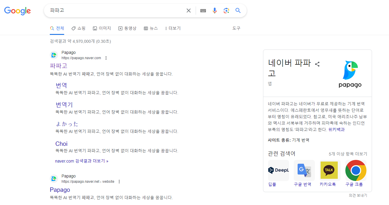 인터넷 파파고 검색